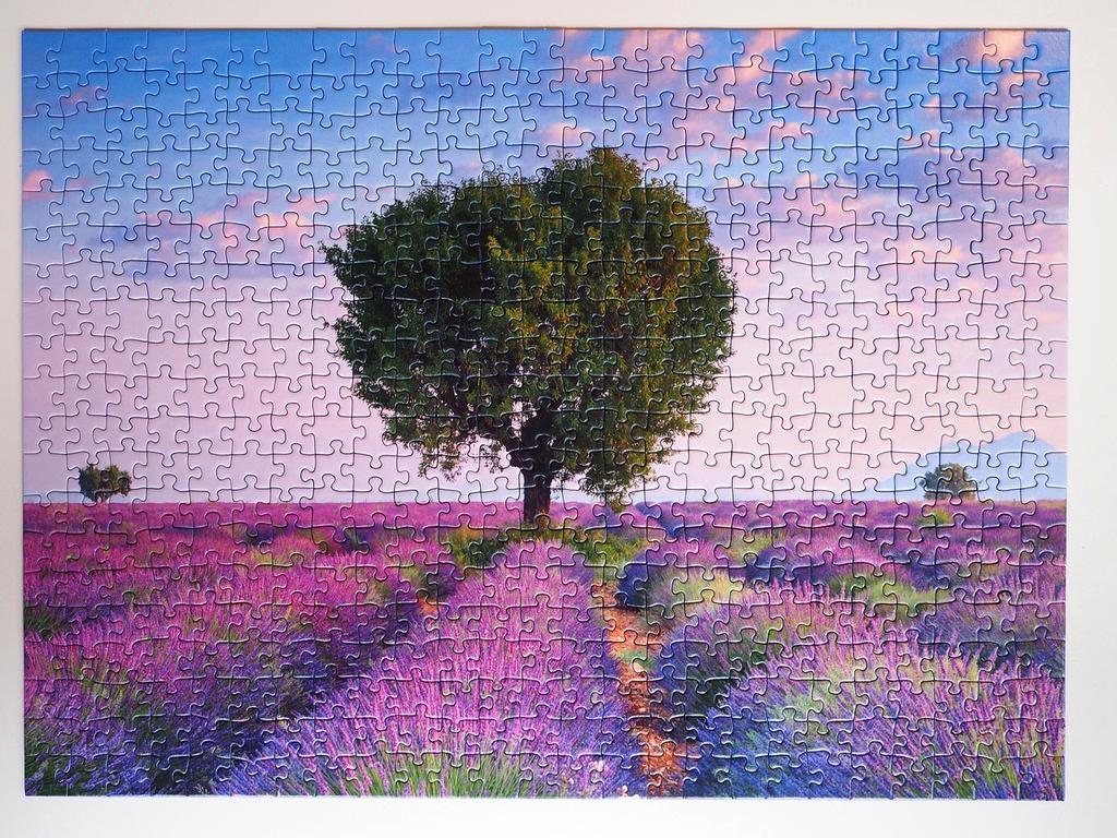 AI-powered network analytics dashboard showing real-time performance metrics and optimization suggestions