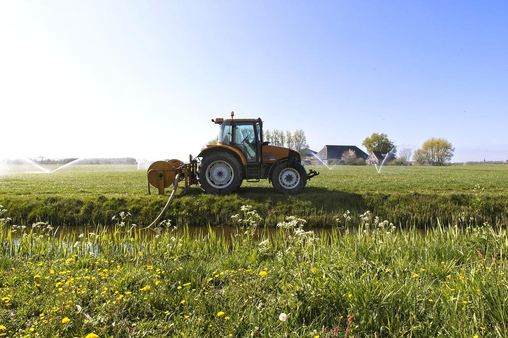 Ewa Zielińska, UX Designer